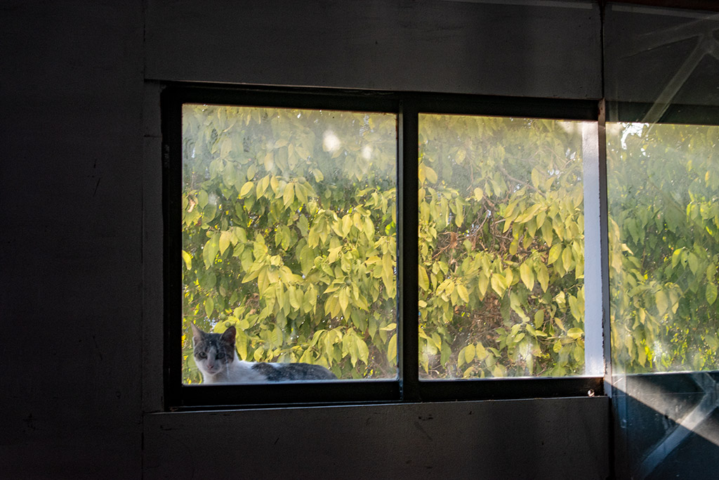 inside-bar-street_26
