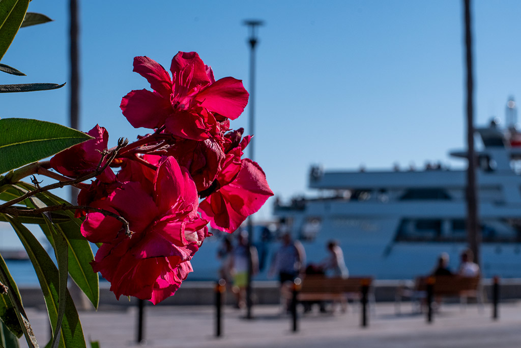 kato-paphos-part-1_34
