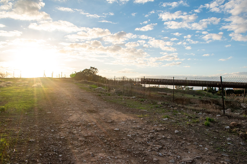 kato-paphos-part-9_01