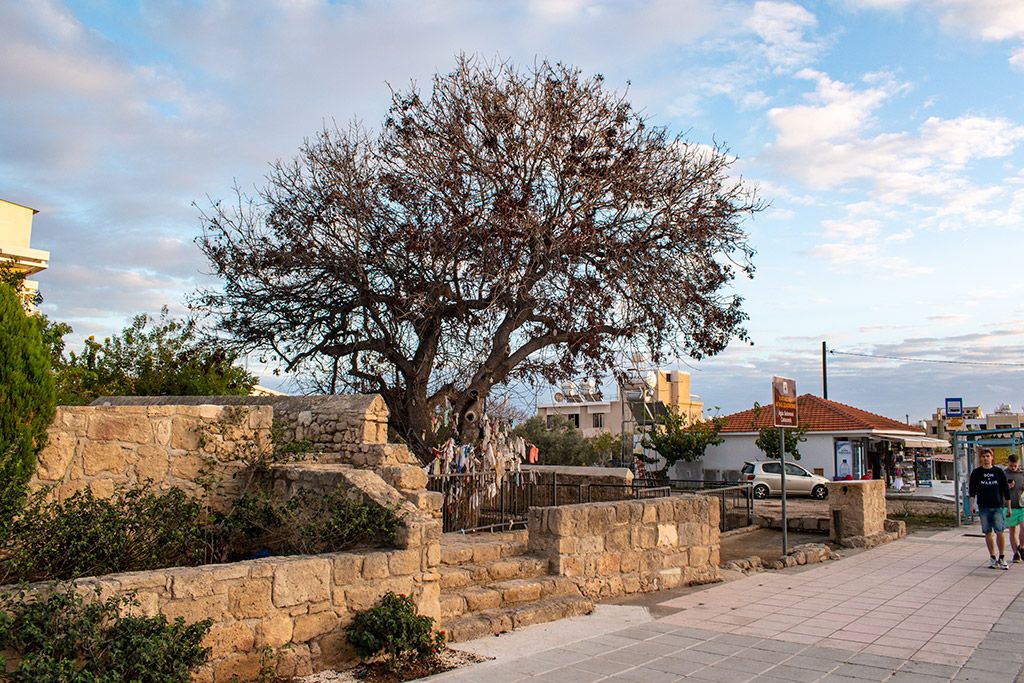 Kato-paphos-part-9 22 kato-paphos-part-9_22