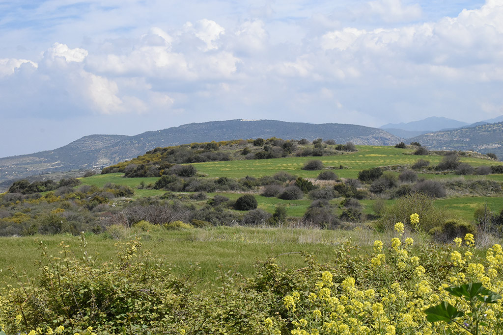 kritou-terra-spring-flowers_02