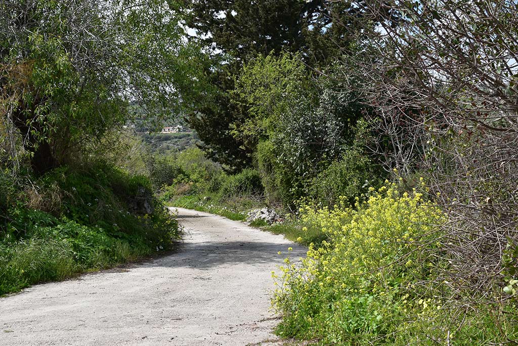 kritou-terra-spring-flowers_11