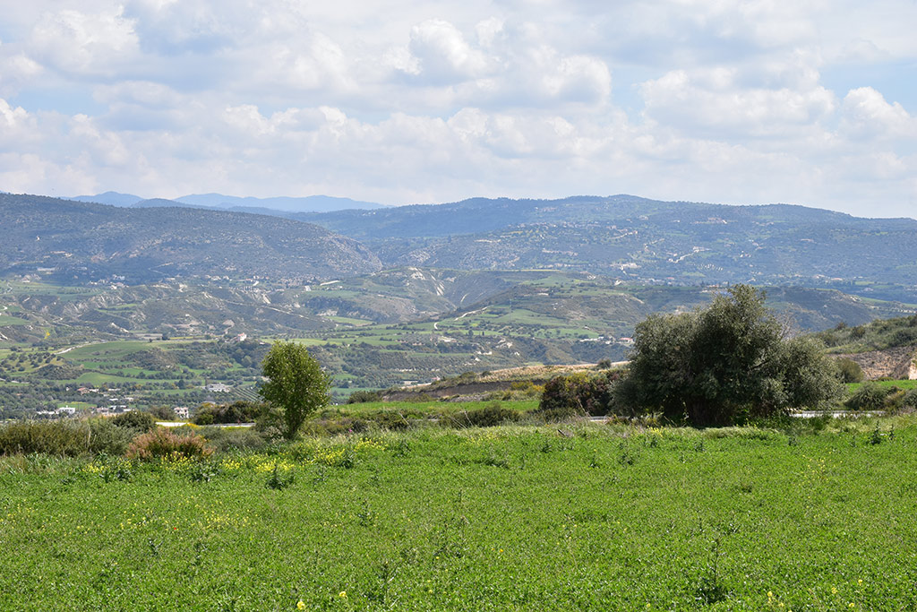 kritou-terra-spring-flowers_18