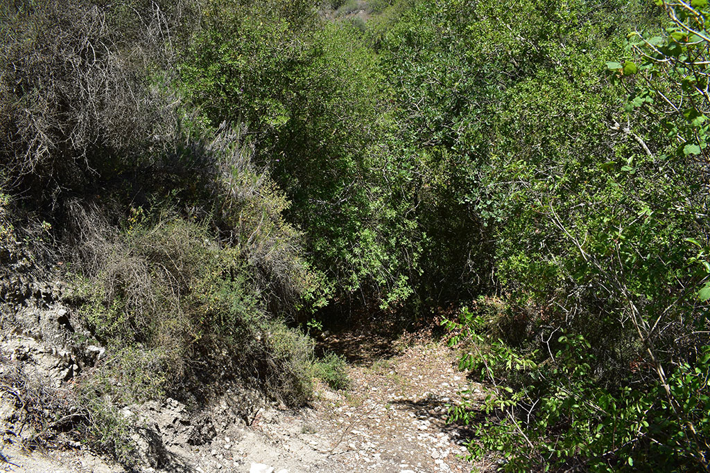 martiri-bridge_10
