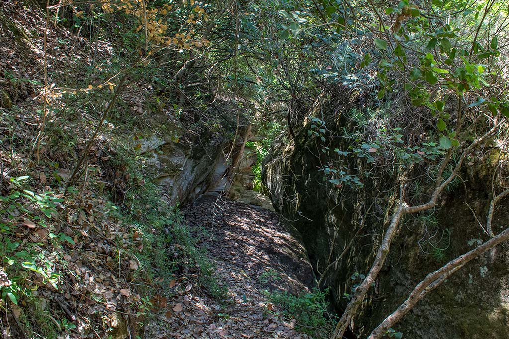 Martiri-bridge 16 martiri-bridge_16