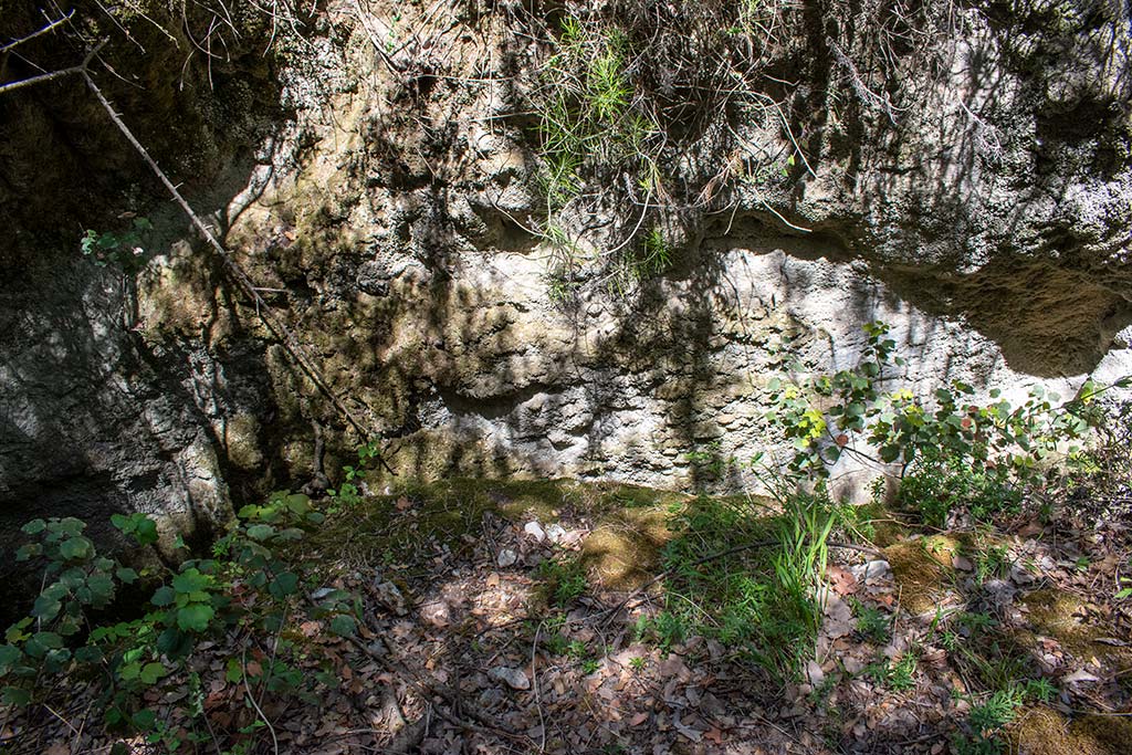 Martiri-bridge 22 martiri-bridge_22