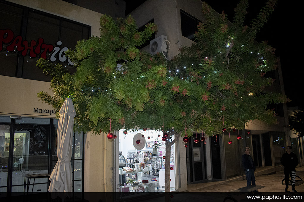 paphos-christmas-2021_15