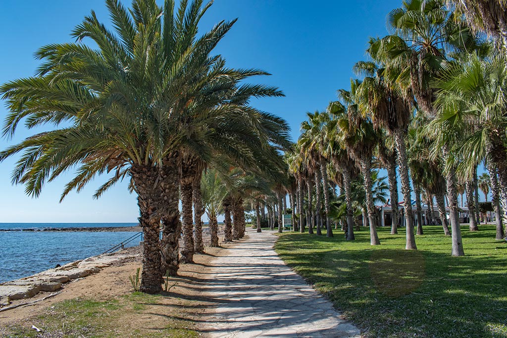 paphos-coast-during-lockdown_03