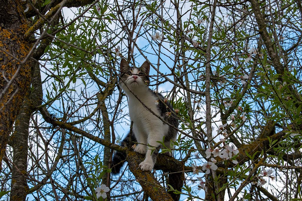 Polemi-in-500-metres 10 polemi-in-500-metres_10