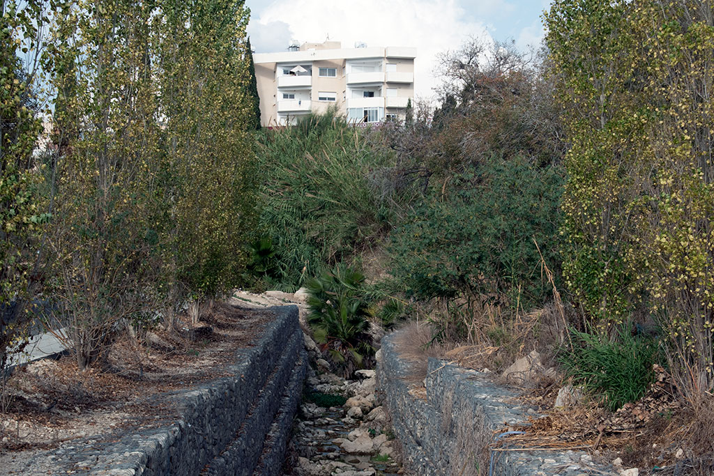 The-grey-cliffs-of-paphos-part-1 21 the-grey-cliffs-of-paphos-part-1_21