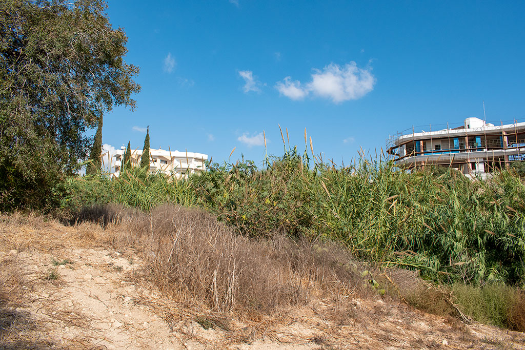 The-grey-cliffs-of-paphos-part-1 23 the-grey-cliffs-of-paphos-part-1_23