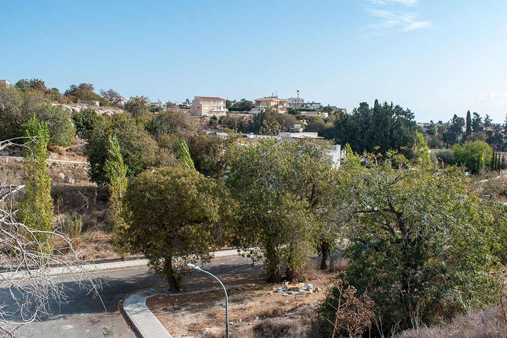 The-grey-cliffs-of-paphos-part-1 28 the-grey-cliffs-of-paphos-part-1_28