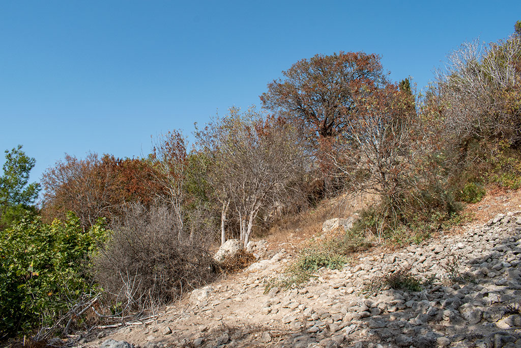 the-grey-cliffs-of-paphos-part-2_05