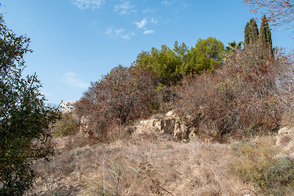 the-grey-cliffs-of-paphos-part-2_13