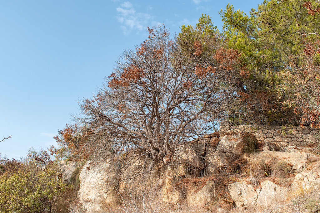 the-grey-cliffs-of-paphos-part-2_15