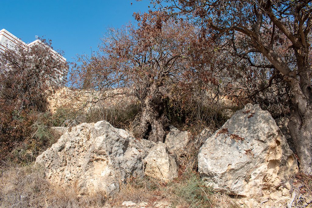 The-grey-cliffs-of-paphos-part-3 18 the-grey-cliffs-of-paphos-part-3_18