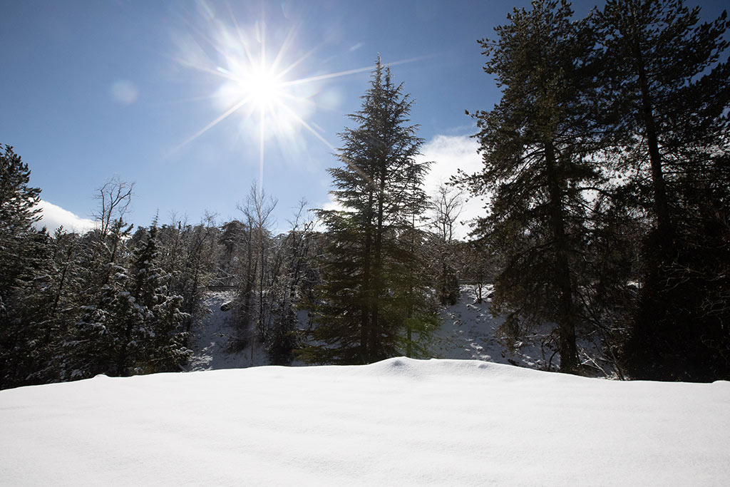Troodos-winter-snow 01 troodos-winter-snow_01