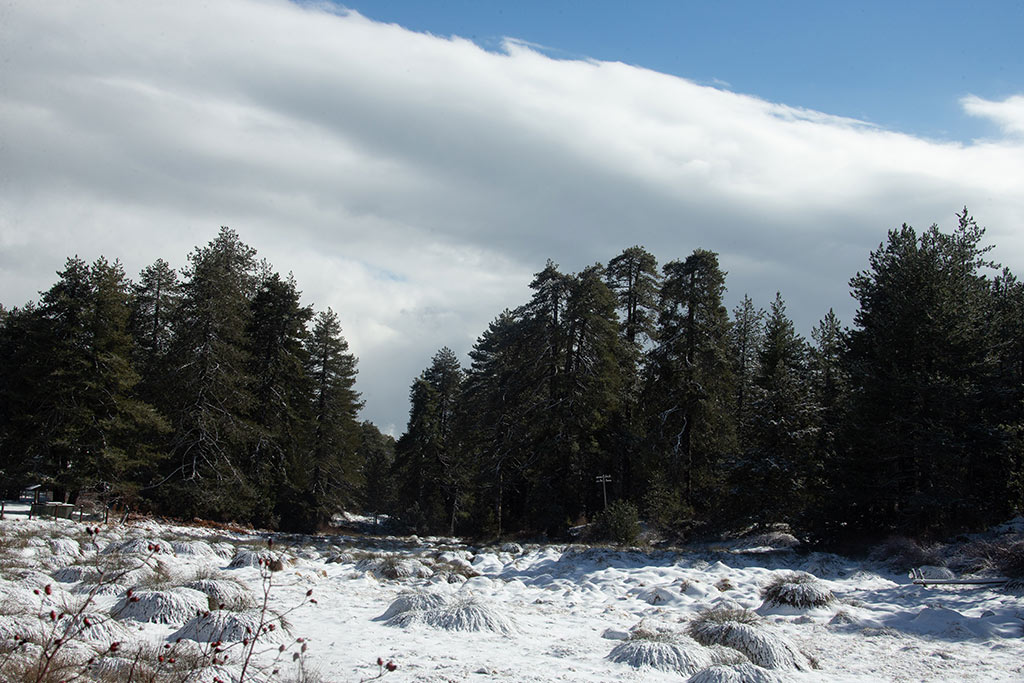 Troodos-winter-snow 04 troodos-winter-snow_04