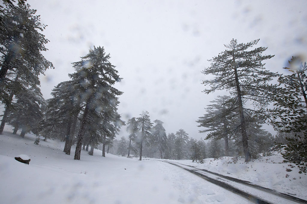 troodos-winter-snow_06