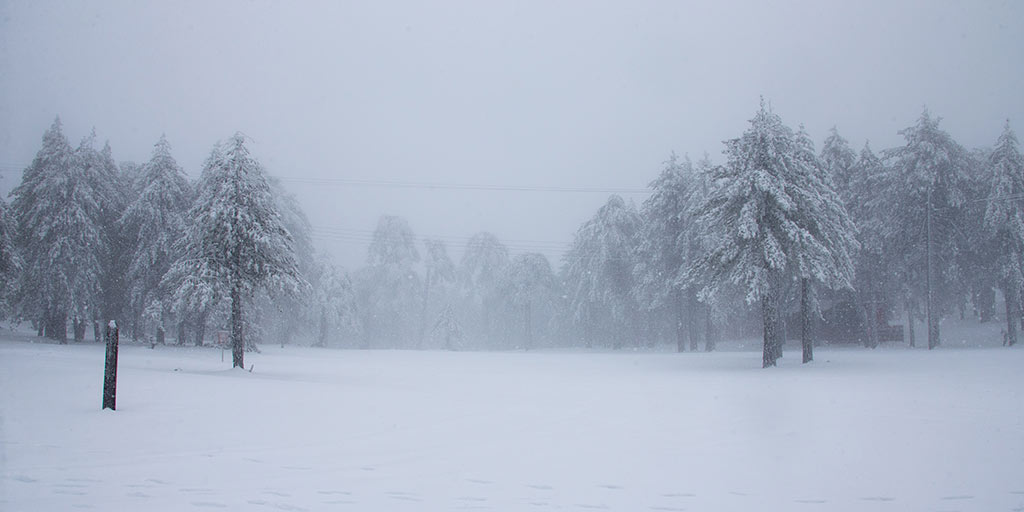 troodos-winter-snow_09