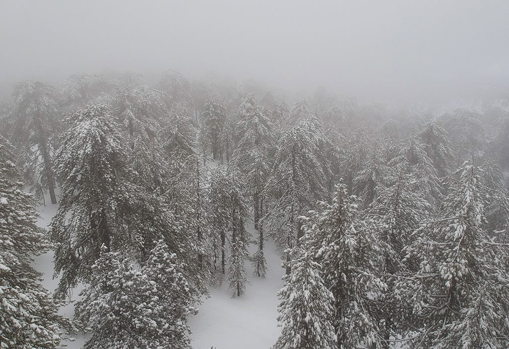 troodos-winter-snow_11