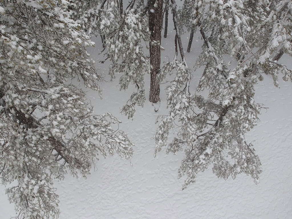 troodos-winter-snow_12
