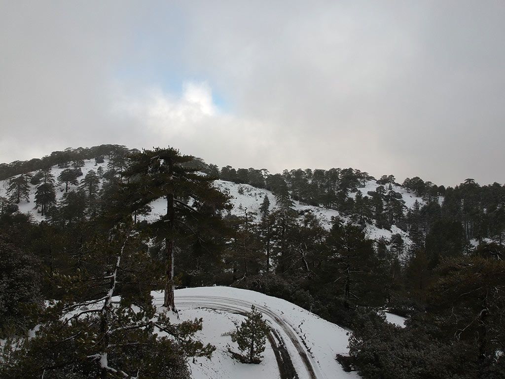 troodos-winter-snow_14