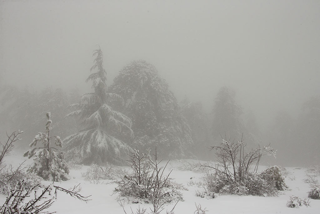 troodos-winter-snow_15