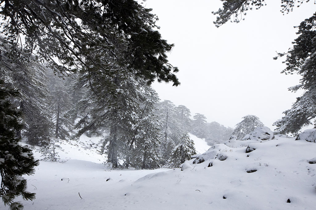 troodos-winter-snow_16