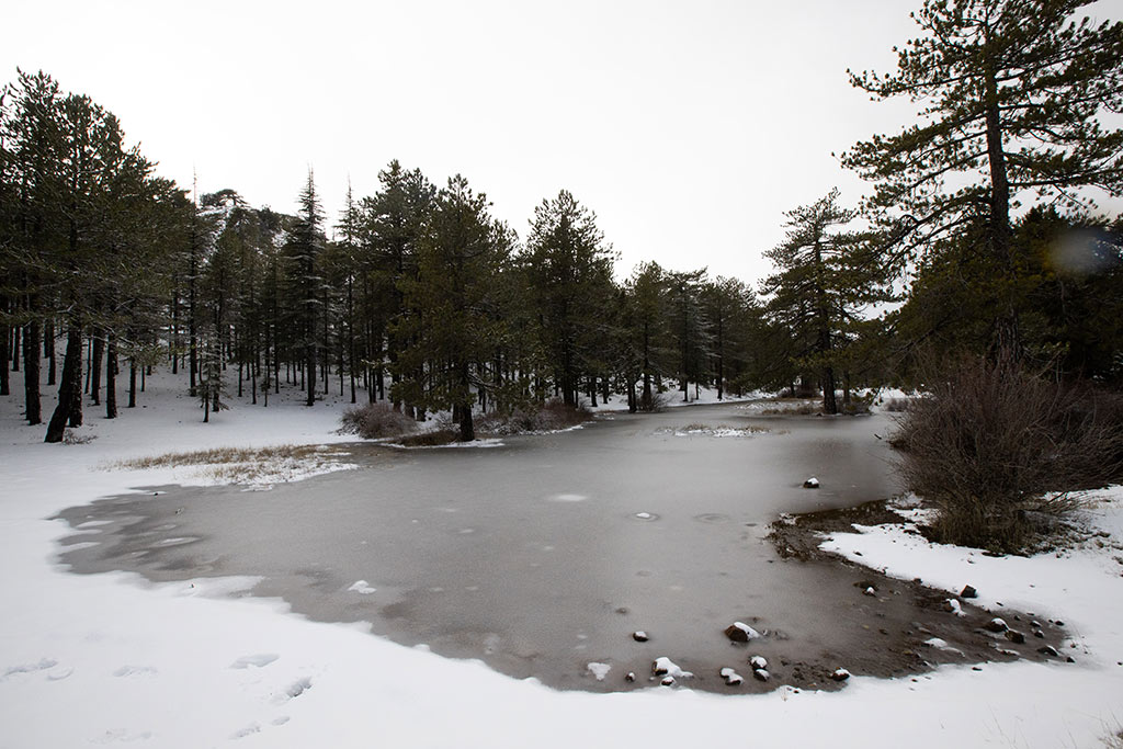 troodos-winter-snow_18