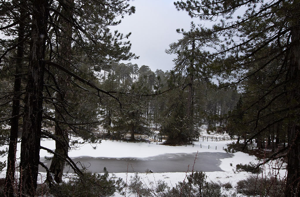 troodos-winter-snow_19
