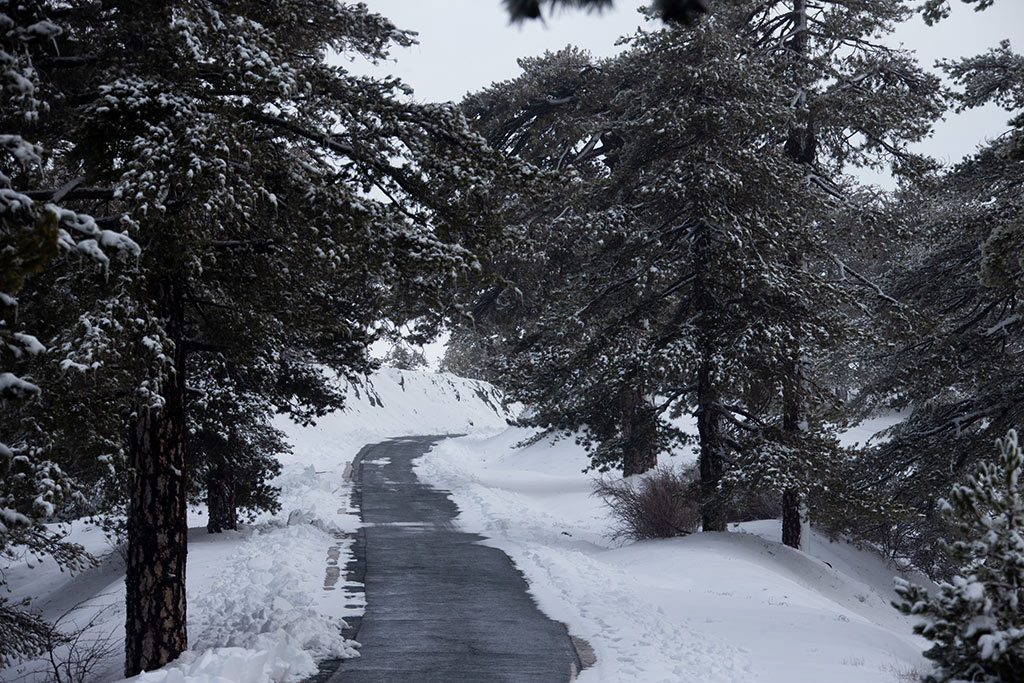 troodos-winter-snow_20
