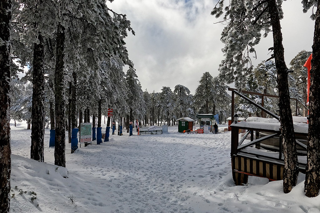 Troodos-winter-wonderland-2021 03 troodos-winter-wonderland-2021_03