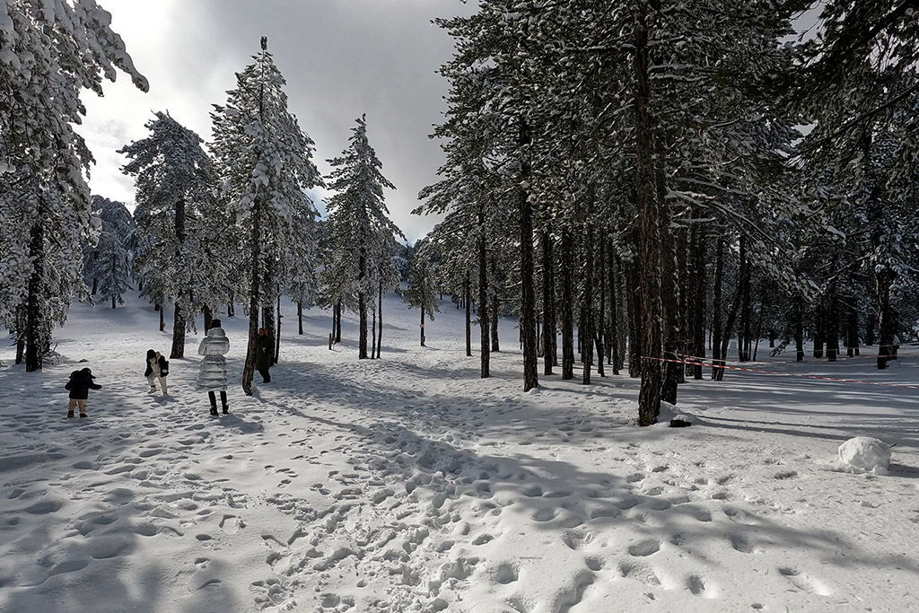Troodos-winter-wonderland-2021 05 troodos-winter-wonderland-2021_05