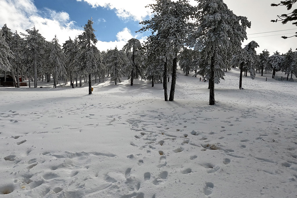 troodos-winter-wonderland-2021_06