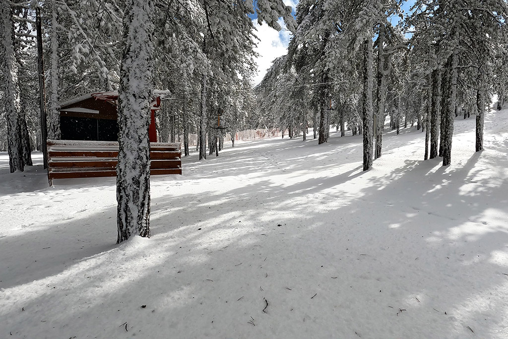 troodos-winter-wonderland-2021_07