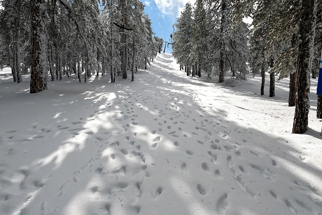 troodos-winter-wonderland-2021_08