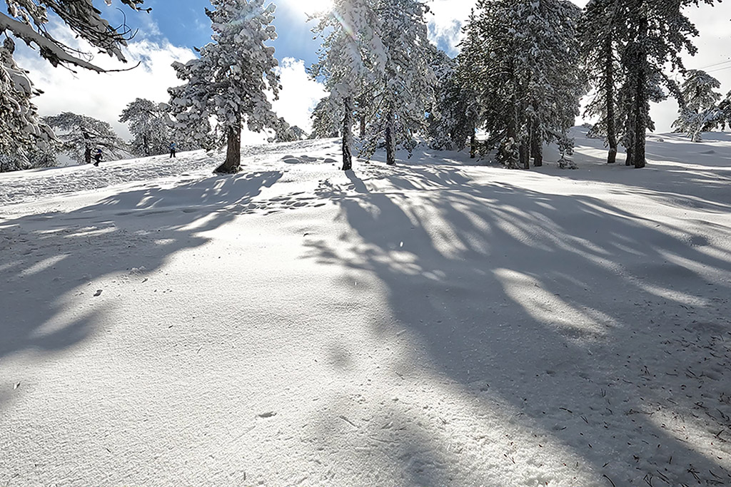 troodos-winter-wonderland-2021_11