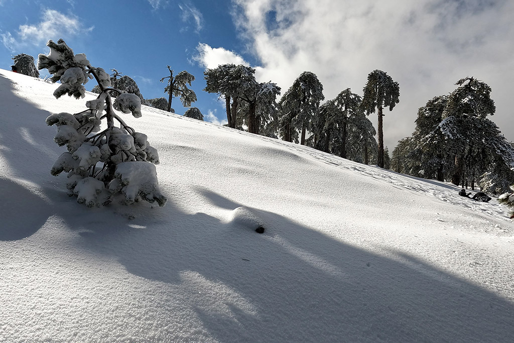 troodos-winter-wonderland-2021_13