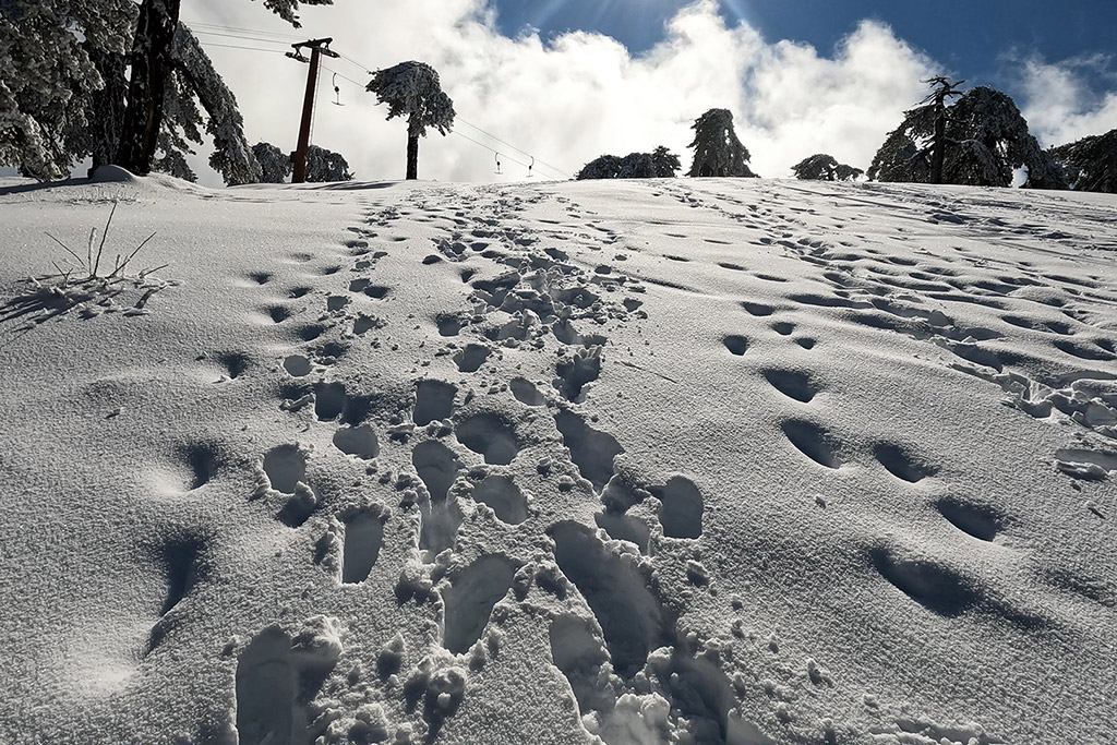 troodos-winter-wonderland-2021_14