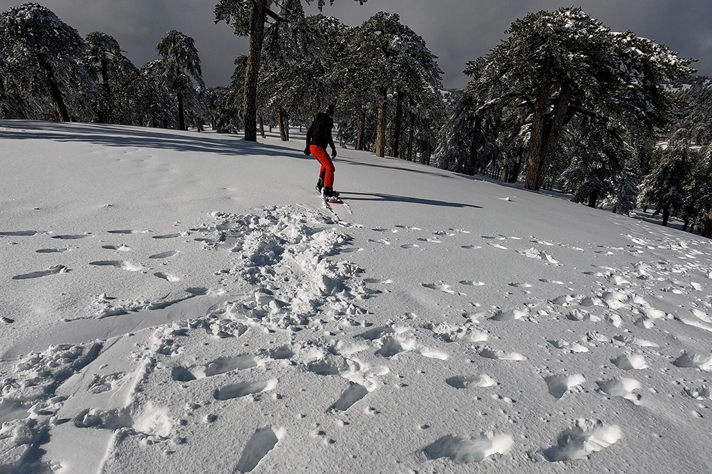 troodos-winter-wonderland-2021_17