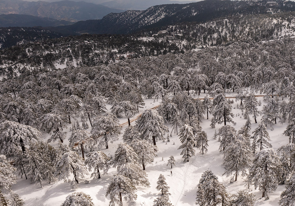 troodos-winter-wonderland-2021_18