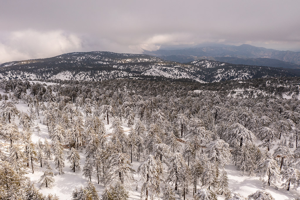 troodos-winter-wonderland-2021_19
