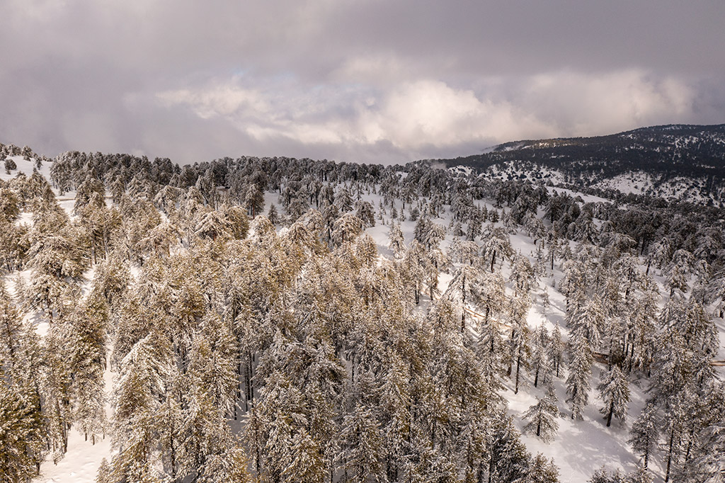 troodos-winter-wonderland-2021_20