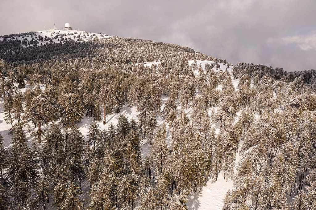 Troodos-winter-wonderland-2021 21 troodos-winter-wonderland-2021_21