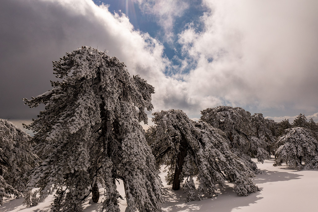 Troodos-winter-wonderland-2021 22 troodos-winter-wonderland-2021_22