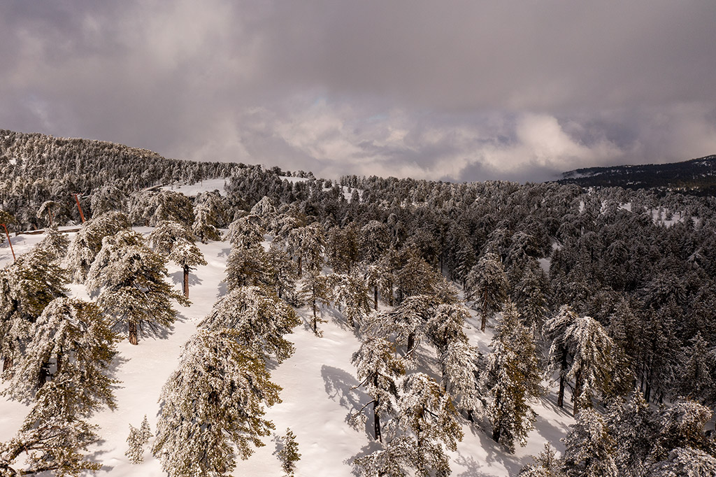 Troodos-winter-wonderland-2021 24 troodos-winter-wonderland-2021_24