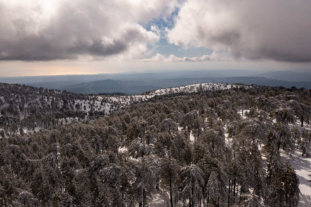 Troodos-winter-wonderland-2021 27 troodos-winter-wonderland-2021_27