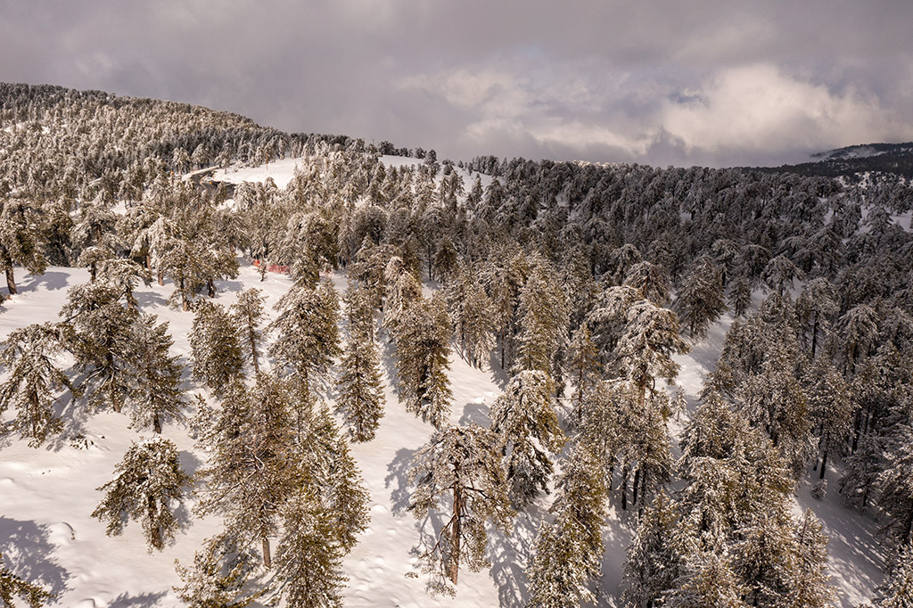 Troodos-winter-wonderland-2021 29 troodos-winter-wonderland-2021_29