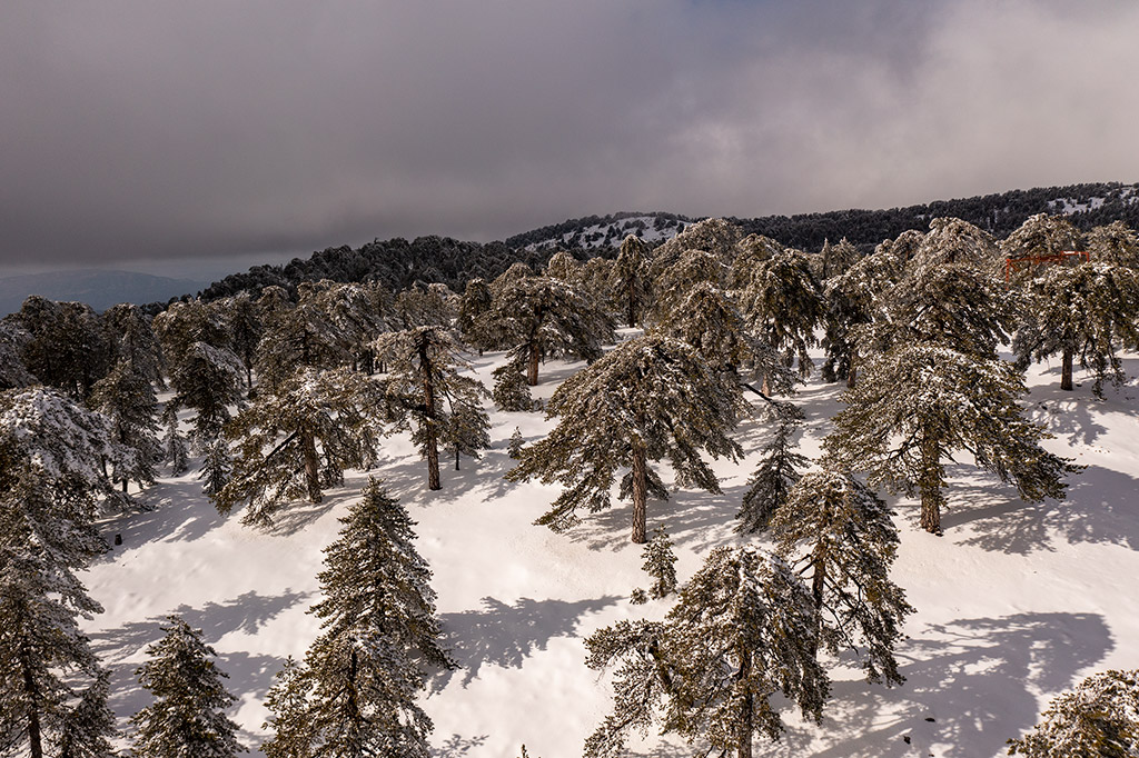 Troodos-winter-wonderland-2021 31 troodos-winter-wonderland-2021_31